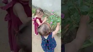 Twins cari bunga