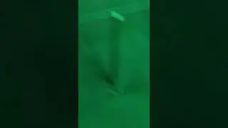 Accidental???