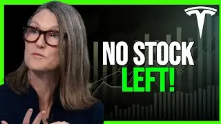 There Will Be No Tesla Stock Left AFTER THIS!' - Cathie Wood