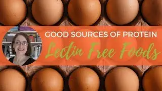 Lectin Free Foods| Good Protein Grass Fed or Pasture Raised