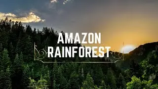 Amazon Rainforest