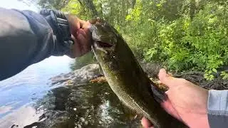First Time Fishing This Area Of The Lehigh River  - 9 / 14 / 2025