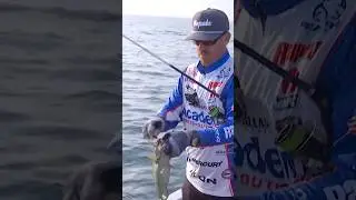 Jacob Wheeler connecting with Saginaw smallmouth