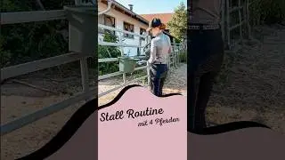Wie lange seid ihr immer im Stall?💕 #stallvlog #pferde #pferdevideo #reiten #pferdem&auml;dchen #stall