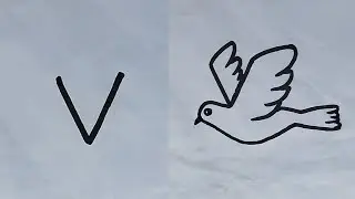 How to draw a flying bird (Dove) Easy drawing step by step || flying bird drawing with 