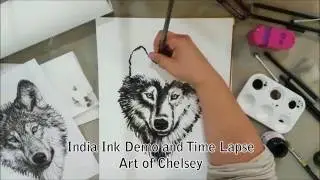 Wolf India Ink Test and Time Lapse