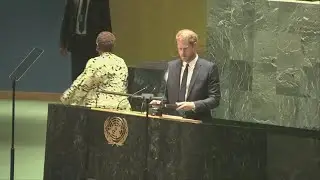 Prince Harry at UN