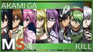 MediaShinobi Review: Akame Ga Kill