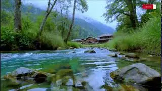 Fast Sleep Comfort — Sunlit River Sounds & Soft Piano for Calm Daytime Rest | 10 Hours