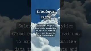 Salesforce Fact #48