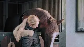 Cinematic Horse Film - 