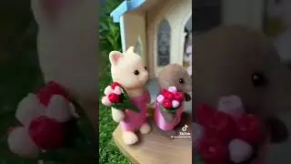 sylvanian drama
