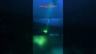 Best Light for Dive Instructor? #orcatorch #scubadiving #divelight