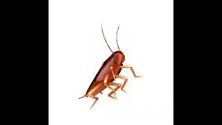 Lord_Z  - Buggy Song feat. Dancing Cockroach [Hip-Hop / Rap / Instrumental Beat]