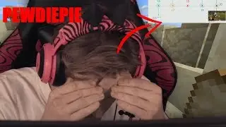Minecraft Timeline of Pewdiepies pets deaths (WATER SHEEP, JOERGEN #2, BEBE)