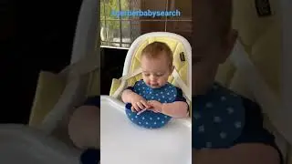 Gerber Baby Model
