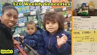 $20 A Week Grocery Shopping Challenge Week 6 - Shopping with My Toddler and Infant