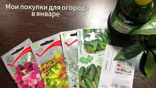 Мои первые покупки за январь 2026