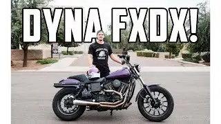 2000 Harley Davidson FXDX Walk Around & Stunt Build (Harley Wheelies & Drifting...)