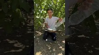 Separating Salt from Fresh Water: A Simple Guide to Desalination #survivalskills
