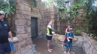 Explorers Aviary at Discovery Cove