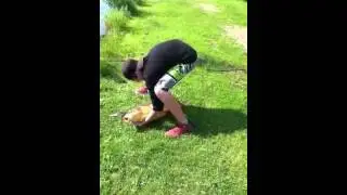 60 lb carp on shore