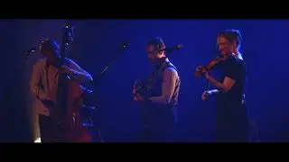 Strograss   Dave's Farewell (live at Stadsschouwburg Brugge nov. 2018)