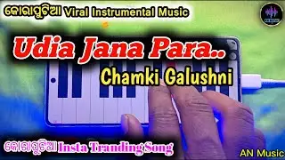Udia Jana Para Chamki Golushni//Koraputia Old Song Mobile//Casio Music Instrumental AN Music 