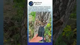 Bir Lazer Ne Kadar G&uuml;&ccedil;l&uuml; ?