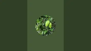ADIL CREATIVE  is live!