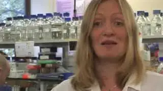 University of Leicester discovers bacteria-eating viruses to fight superbugs
