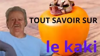 LE KAKI : Le fruit miracle de l’hiver ! Bienfaits, astuces, erreurs à éviter, tu vas tout comprendre