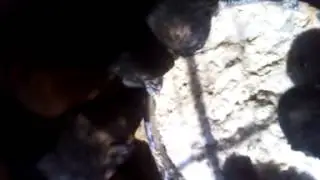 VID 20130910 062435