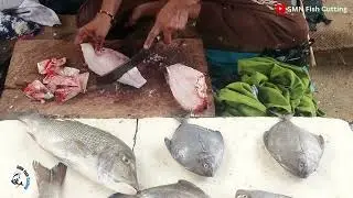 Giant Katla Fish Cutting Skills - SMN Fish Cutting
