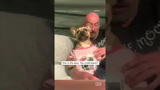 Dog Dad's Bedtime Story Has Pup Snoring in Seconds #Shorts