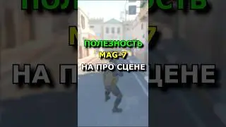 ПОЧЕМУ ПРО ИГРОКИ НЕ ИСПОЛЬЗУЮТ MAG-7 В CS2❓ #mag7 #donk #monesy #zywoocsgo #s1mple #фишки