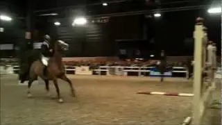 Paard 2012 springen zonder zadel