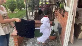 # 010 Emily Franco infantil novato show de la mejor patada colombia escuela de artes marciales warri