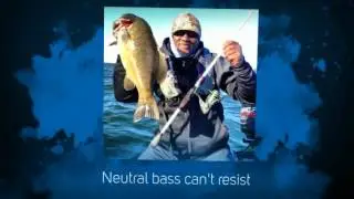 Duo Realis Spinbait 80 Spybaiting