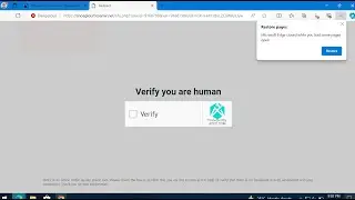 Shoagloumtoamir.net redirect virus removal.