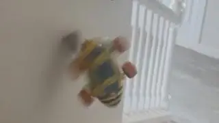 Yoshi mario kart toy - destruction!!!