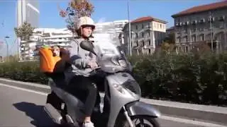 Pet On Wheels - Take your dog or cat anywhere!
