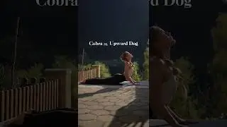 Fundamental poses: Cobra vs. Up Dog #yogainspiration #yogatutorial #backbends