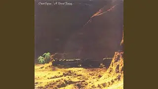 Desert Disco