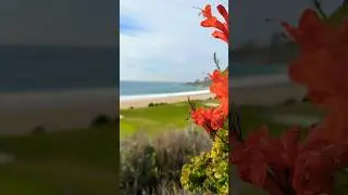 Golf and Ocean #golf #ocean #california #relaxing #luxury lifestyle #socal #beach #travel #views