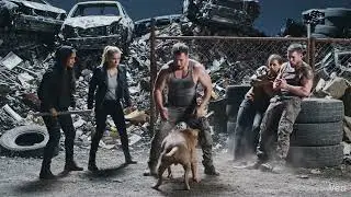 DOG FIGHTER WITH ROBBERS