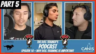 Dog Trainers Podcast Episode 10: Why Dog Training Is Important - Part 5 - Taking in Dogs