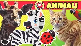 Impariamo gli Animali Per Bambini 📚 Animali Marini e della Fattoria | Canzoncine e Video Educativi