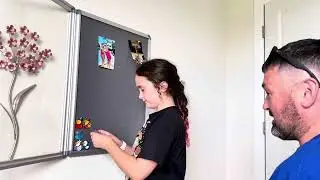 SWANCROWN Fabric Bulletin Board Enclosed Wall-Mounted Display Case Review Time!