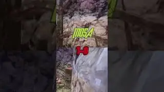 TTTPIG VS MOSA #vr #gorillatag #tttpig #mosa #gorillatagfun #fyp #shorts
